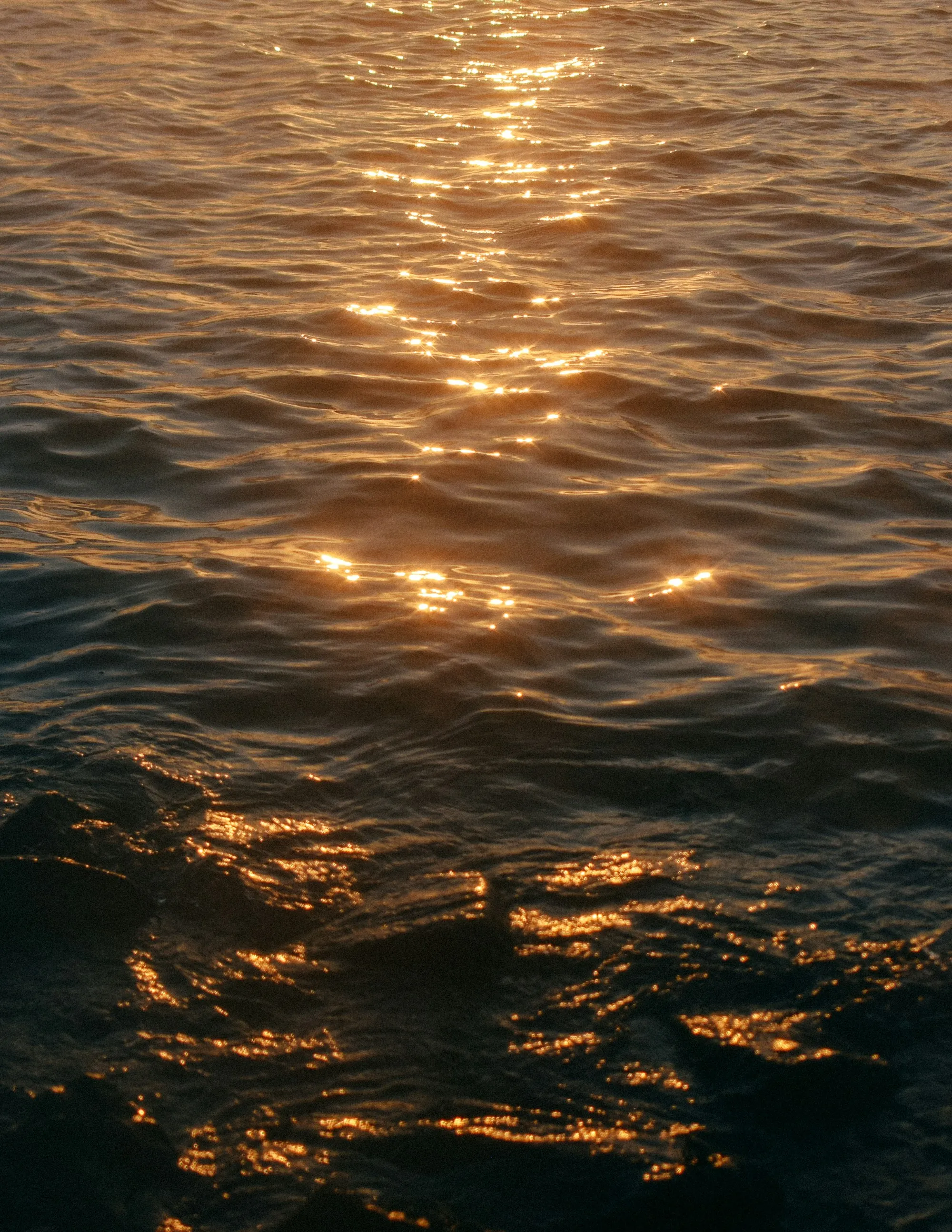 金色夕陽灑在平靜的海面上