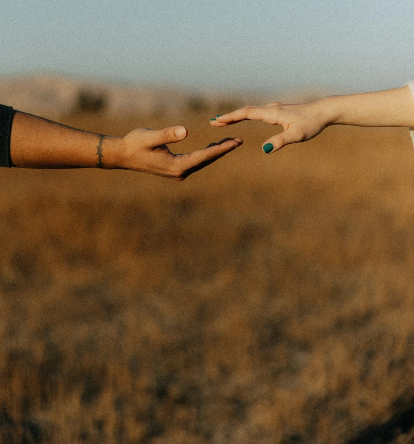 Two hands reaching toward each other over a golden field